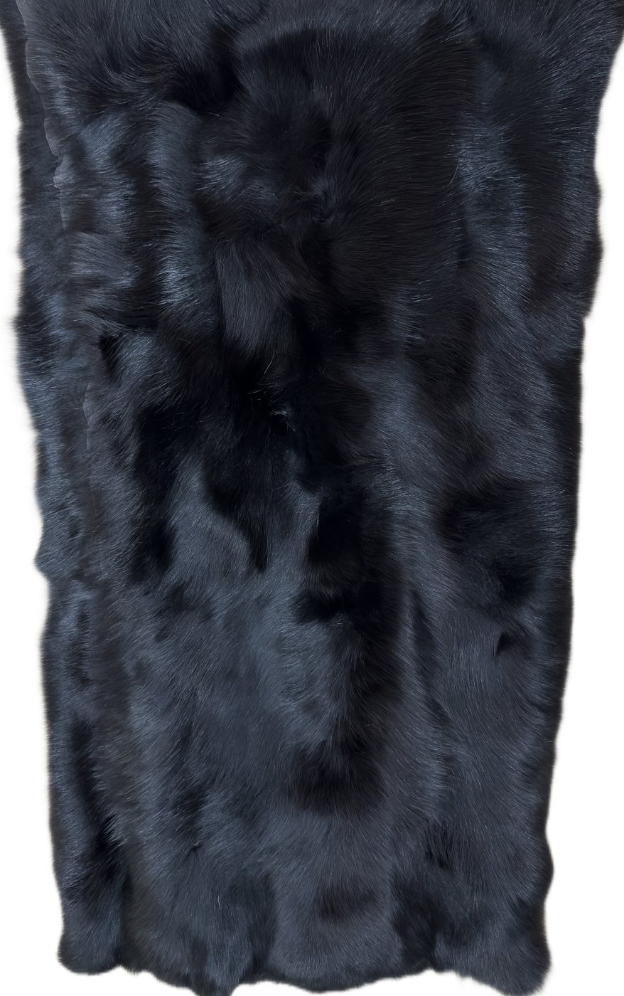 Black Fox Belly