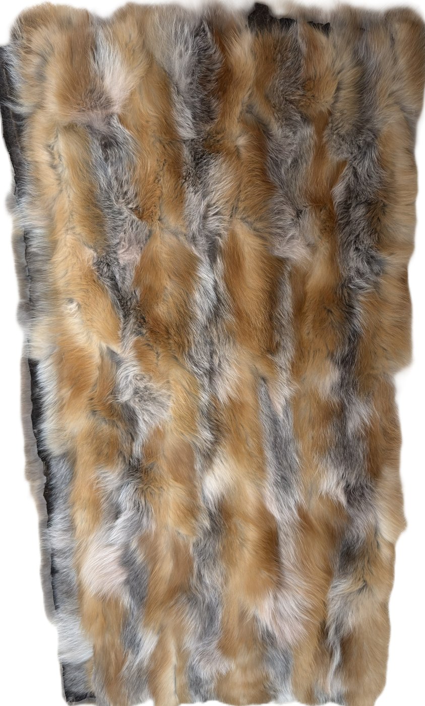 Red Fox Belly