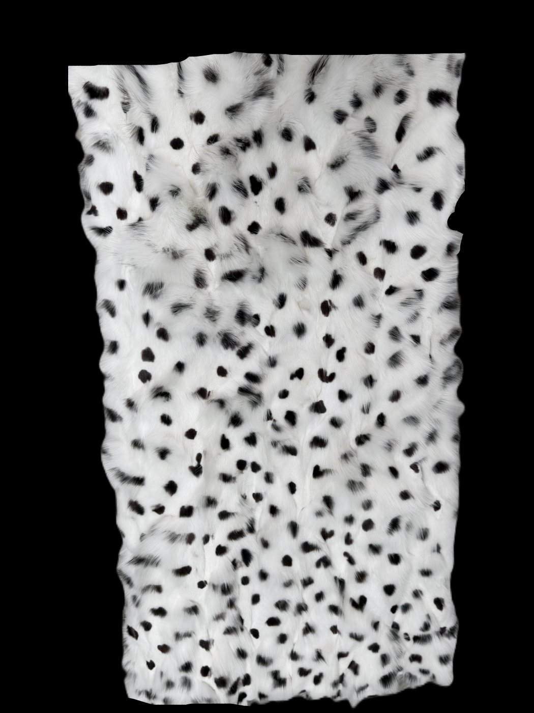 White-black Dot Fox Paw