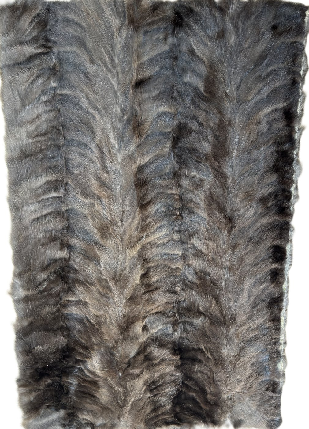 Bargunzinsky Sable Paw