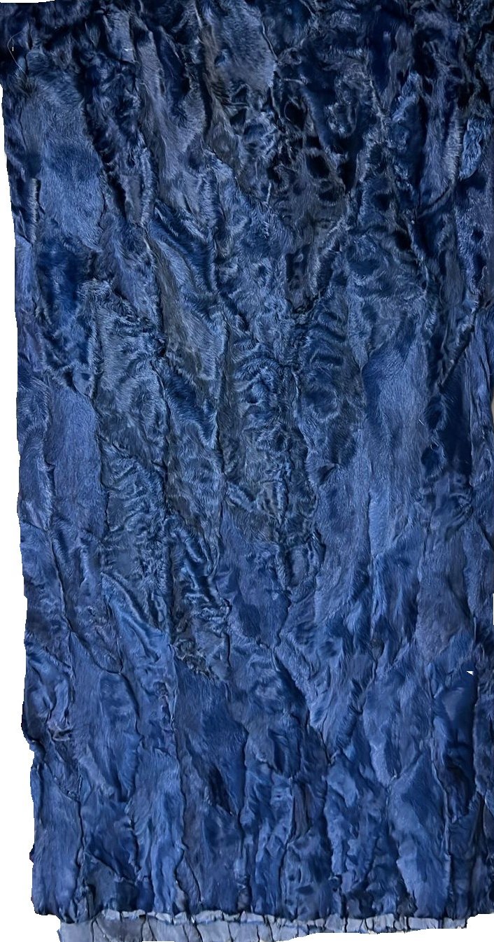 Blue Swakara Paw