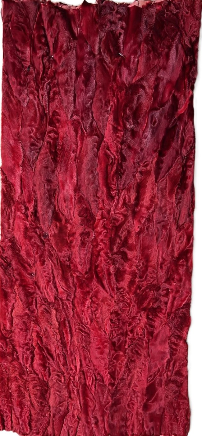 Red Swakara Paw