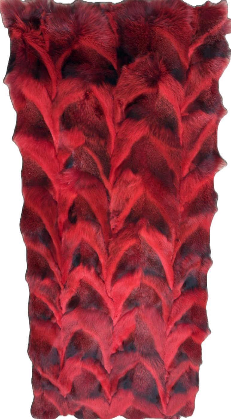 Red Fox Paw
