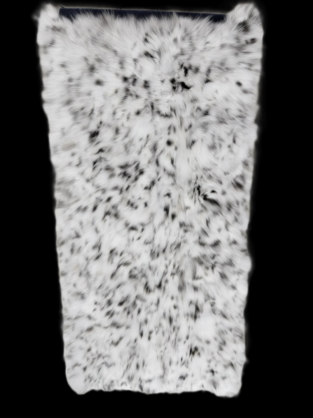 White Lynx Cat Pieces