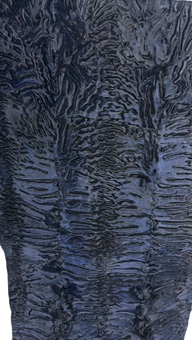 Blue Bitone Swakara Skin Plate