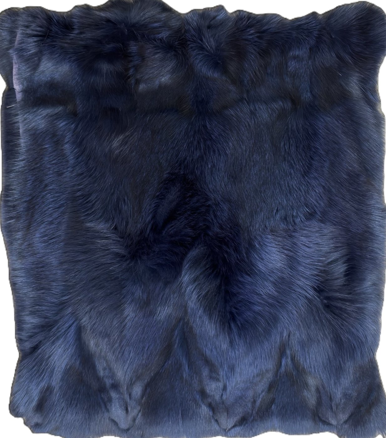Blue Fox Zaitz