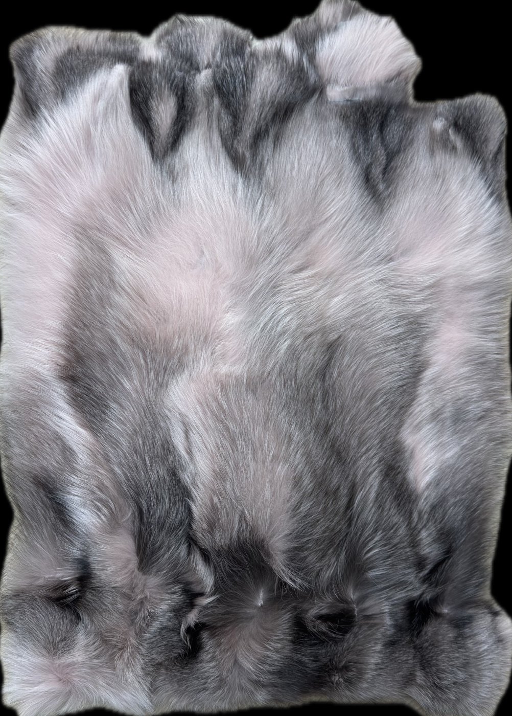 Pink Fox Zaitz