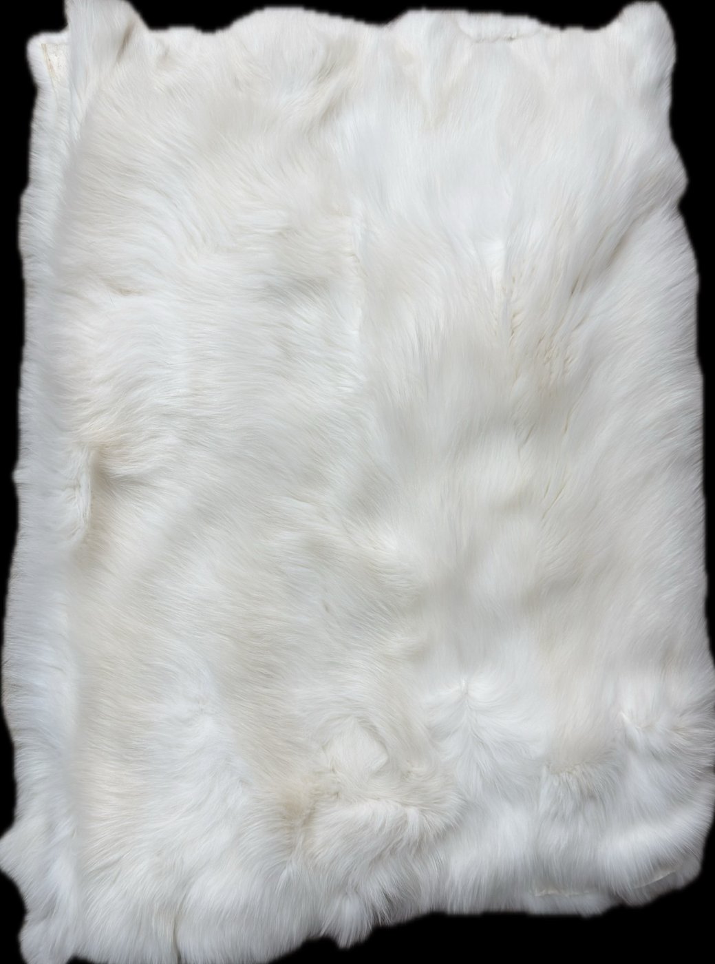 White Fox Zaitz