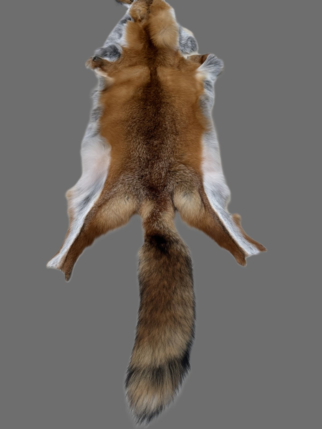 Red Fox Skin