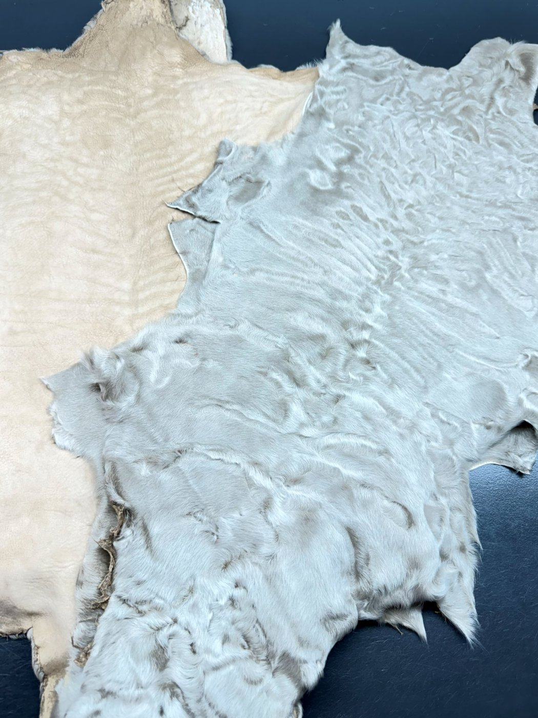 Pearl Swakara Skin