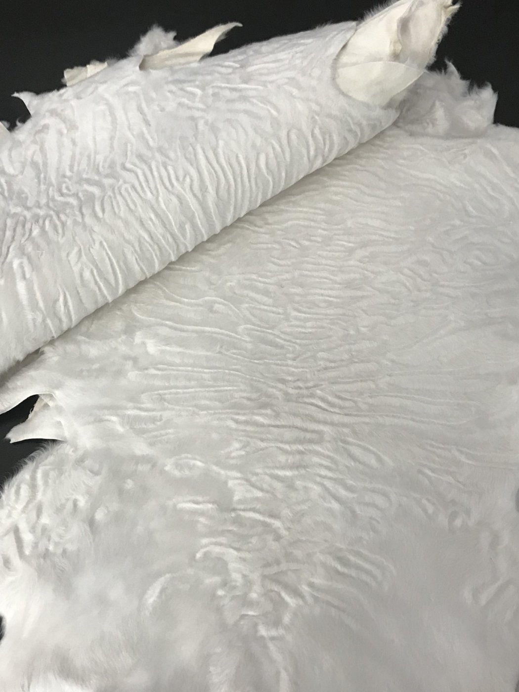 White Swakara Skin